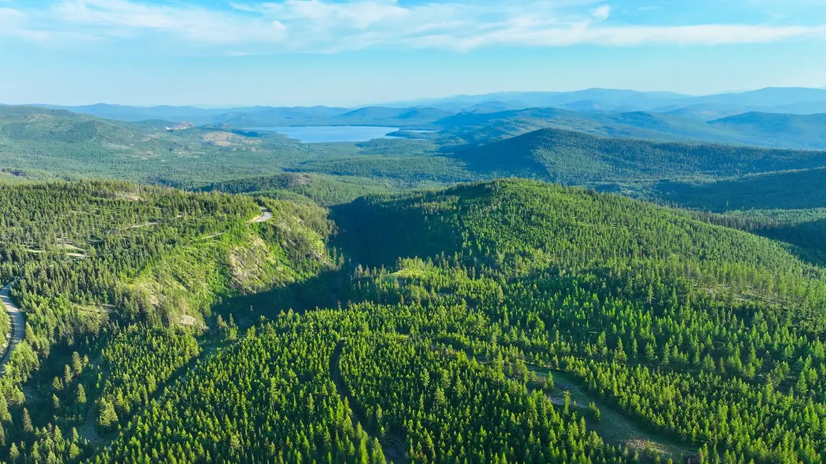 Nhn Two Creeks, Marion, MT 59925 - Image #1