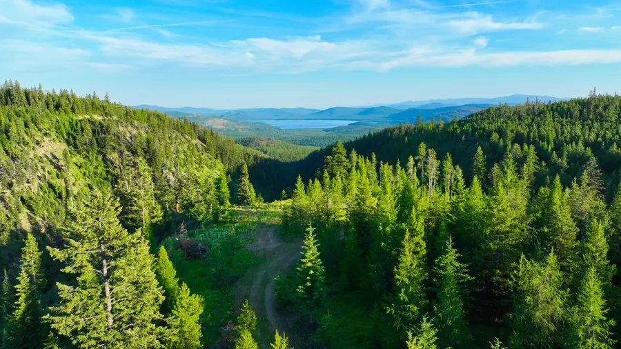 Nhn Two Creeks, Marion, MT 59925 - Image #3