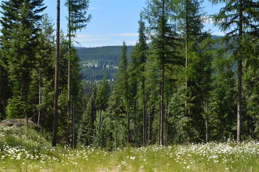 NHN Logan Creek Road, Whitefish, MT 59937 - Image #2