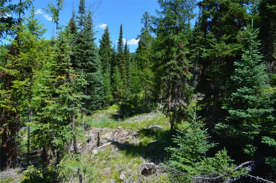 NHN Logan Creek Road, Whitefish, MT 59937 - Image #3