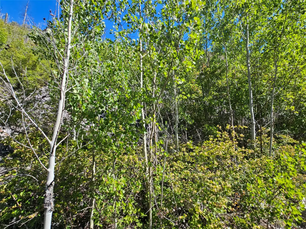 80 Upper Packer Gulch Road, Drummond, MT 59832 - Image #1