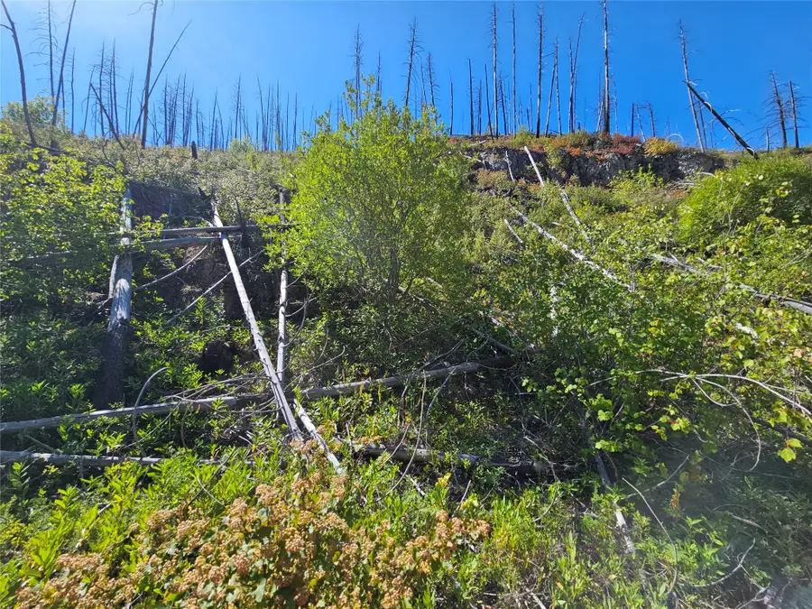 80 Upper Packer Gulch Road, Drummond, MT 59832 - Image #3