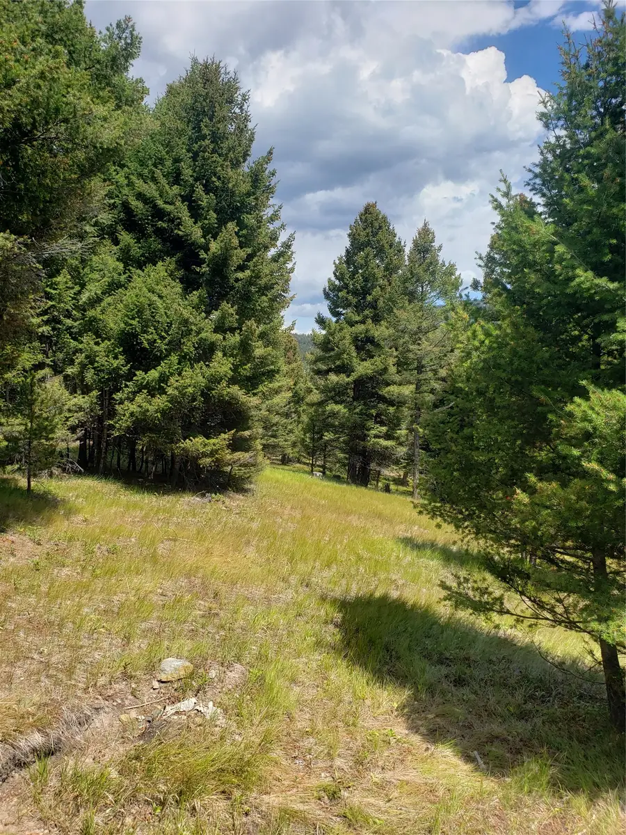 300 Hematite Road, Helmville, MT 59843 - Image #2