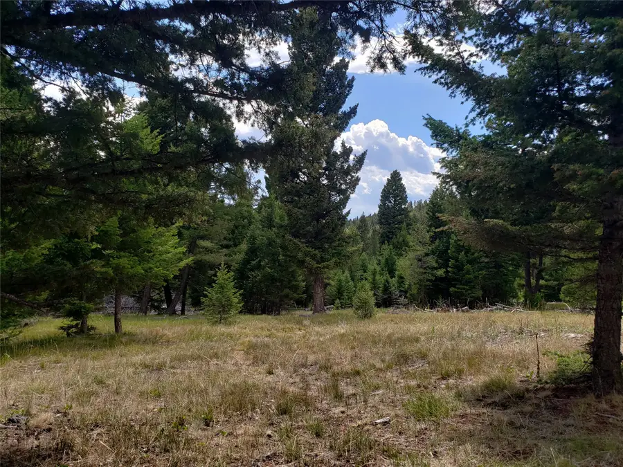 300 Hematite Road, Helmville, MT 59843 - Image #3