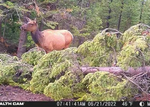 7524 Lower Telegraph Creek Road, Elliston, MT 59728 - Image #2