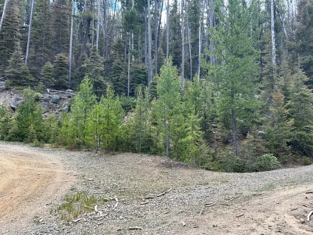 269 Boulder Chief Road, Basin, MT 59631 - Image #2