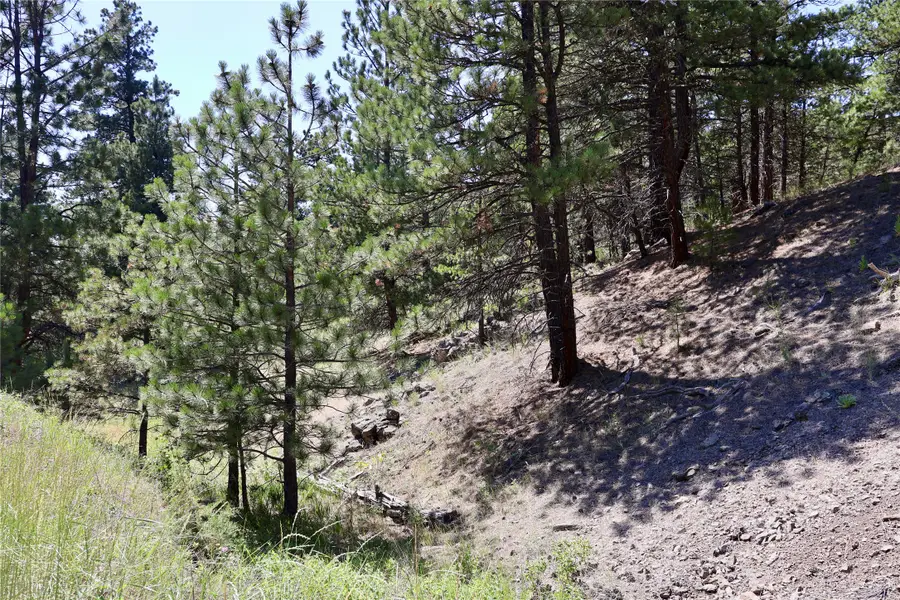 Lot 49 Cooper Valley Estates, Cascade, MT 59421 - Image #2