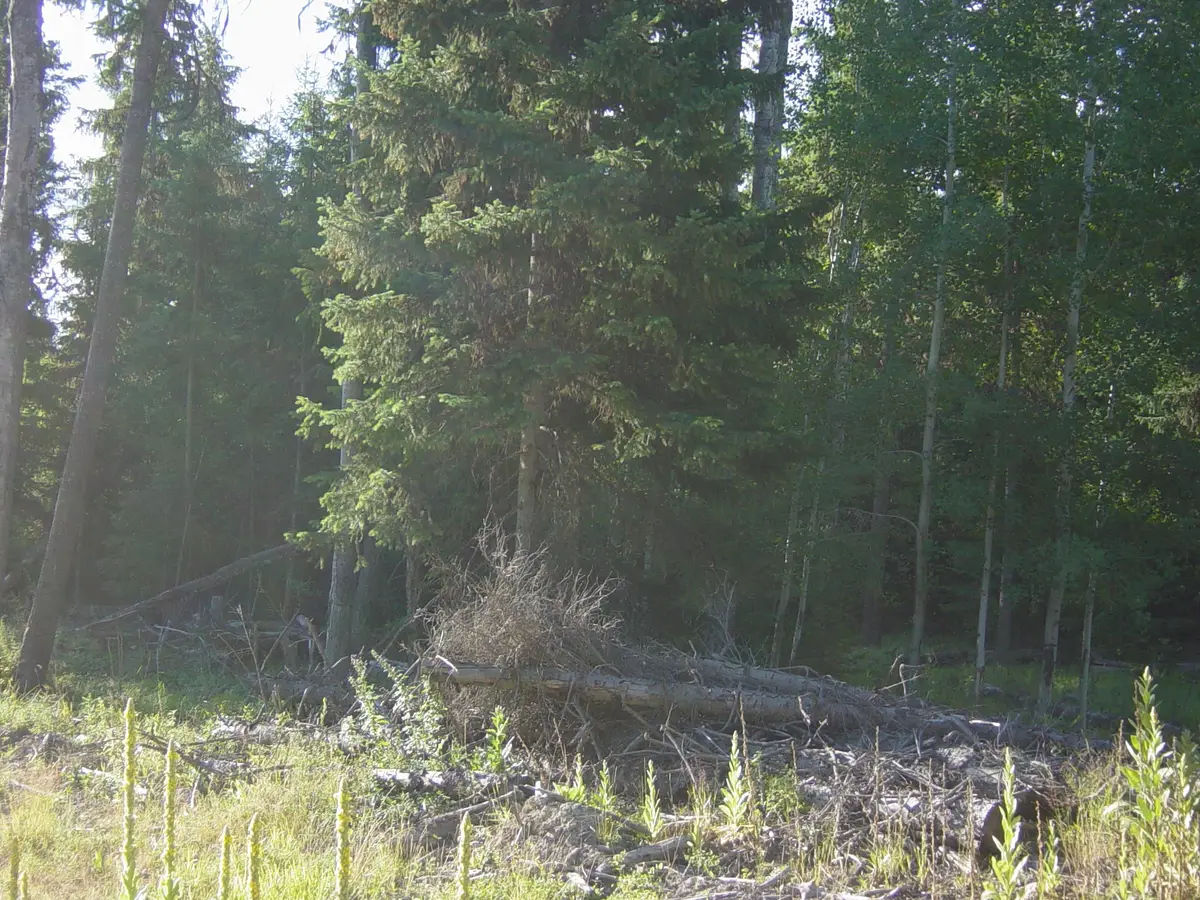 NHN Acm Road S, Libby, MT 59923 - Image #1