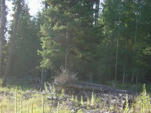 NHN Acm Road S, Libby, MT 59923