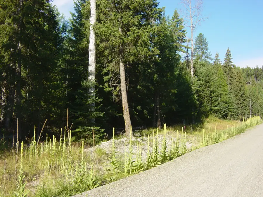 NHN Acm Road S, Libby, MT 59923 - Image #3