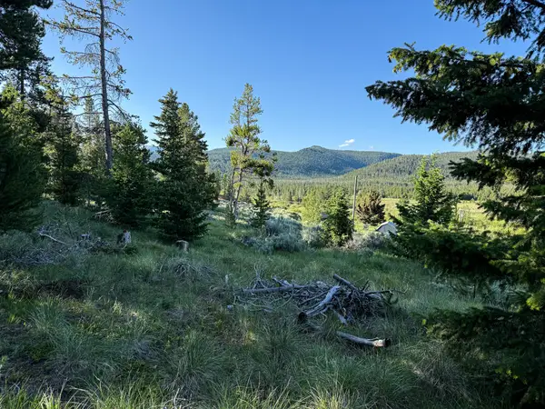 NHN (1.78+/- Acres) Sunchild Lane, Anaconda, MT 59711