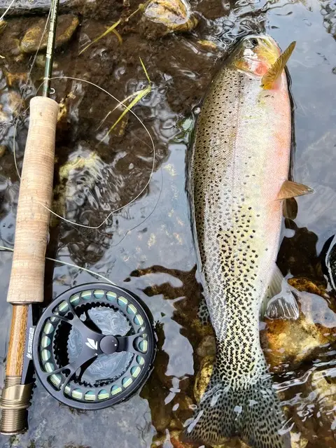 1307 Skalkaho Hwy, Hamilton, MT 59840 - Image #2