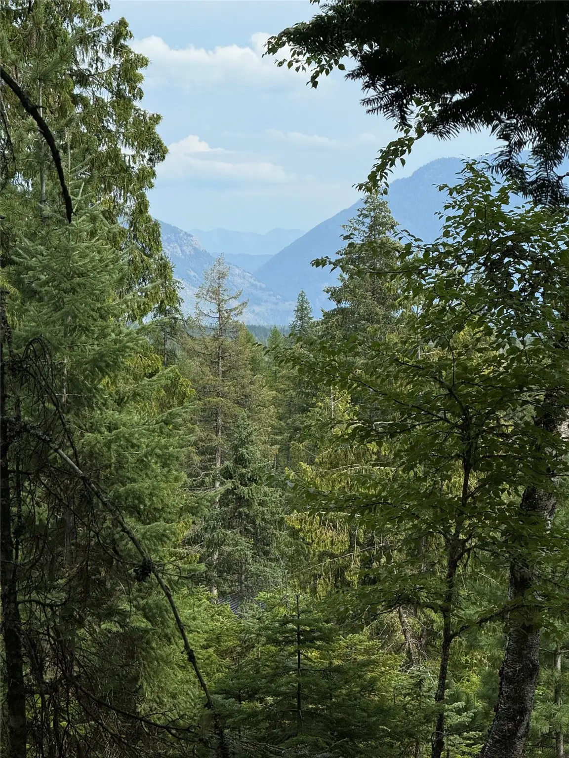 88 Abbey Road, Whitefish, MT 59937 - Image #1