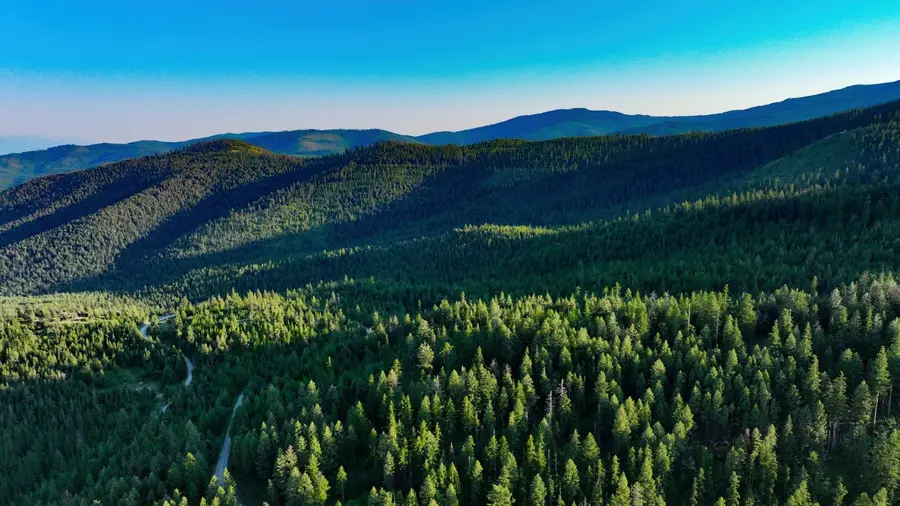 Tract 1 Cramer Creek Road, Somers, MT 59932 - Image #2