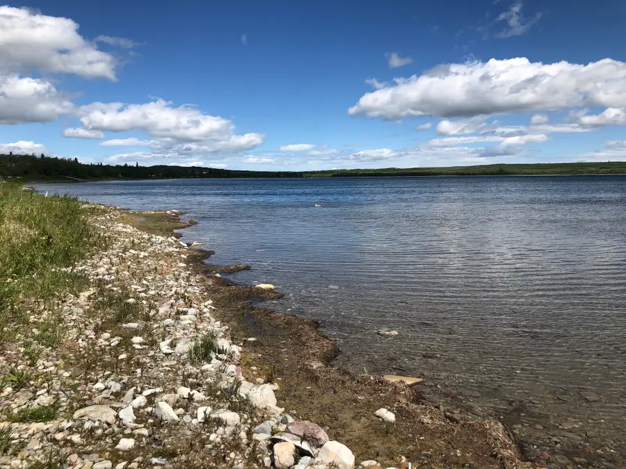 Lot 32 West Shore Duck Lake Road, Babb, MT 59411 - Image #3