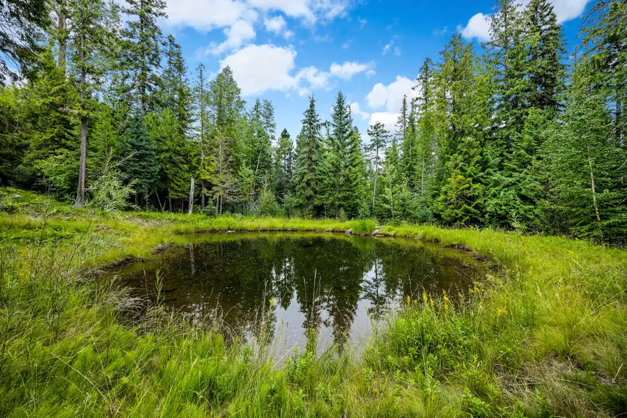 90 Woodland Star Circle, Whitefish, MT 59937 - Image #3