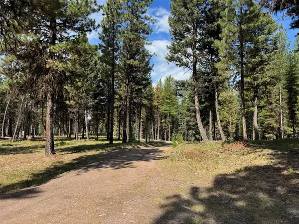 231 Buckskin Drive, Seeley Lake, MT 59868