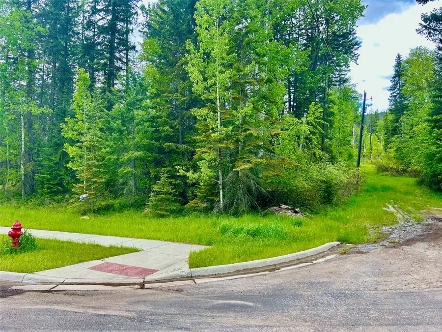 754 Ice House Road, Whitefish, MT 59937 - Image #3