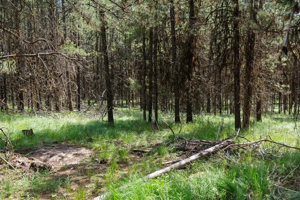 182 New Timber Ridge Trail, Marion, MT 59925 - Image #1