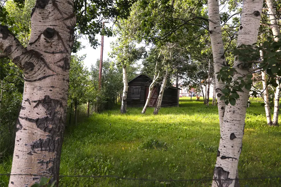 NHN Edkins Street, East Glacier Park, MT 59434 - Image #2