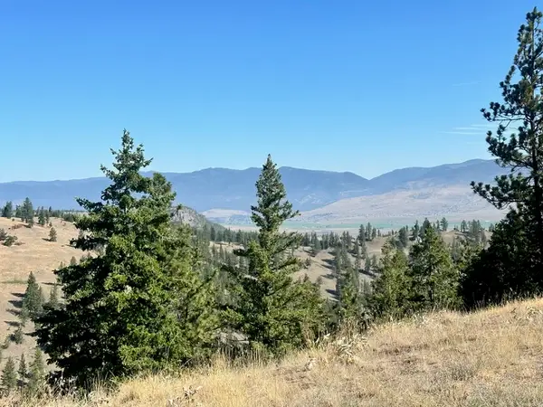 Parcel 1A Dry Gulch Road, Missoula, MT 59804