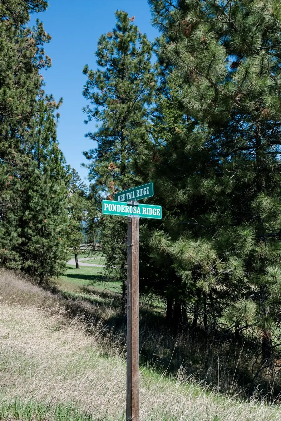 37 Red Tail Ridge, Bigfork, MT 59911 - Image #3