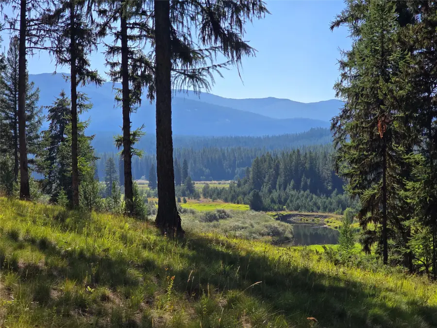 29700 Yaak River Road, Yaak, MT 59935 - Image #3