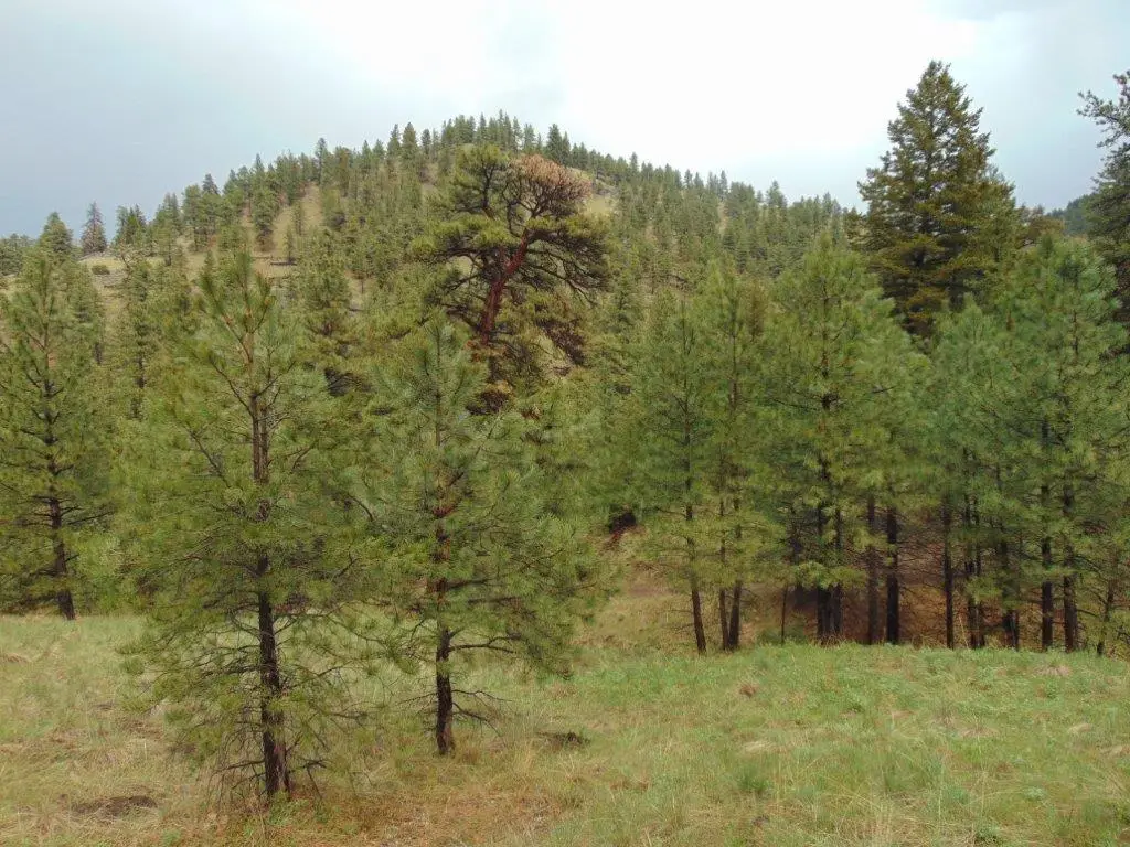 15 Shady Spring Lane, Cascade, MT 59421 - Image #1