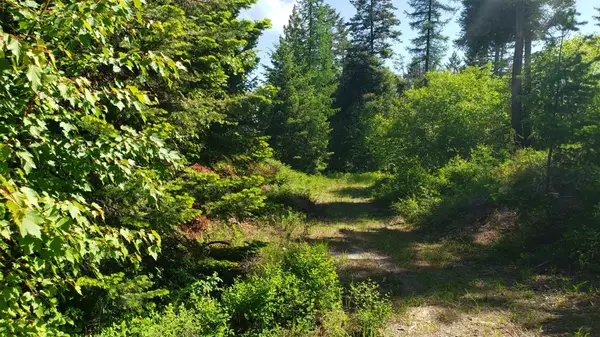 500 Blacktail Heights Road, Lakeside, MT 59922