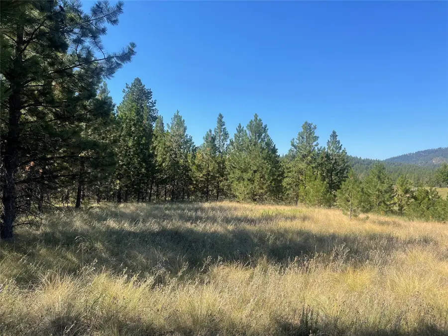 Lot 55 Jette Meadow Road, Polson, MT 59860 - Image #2