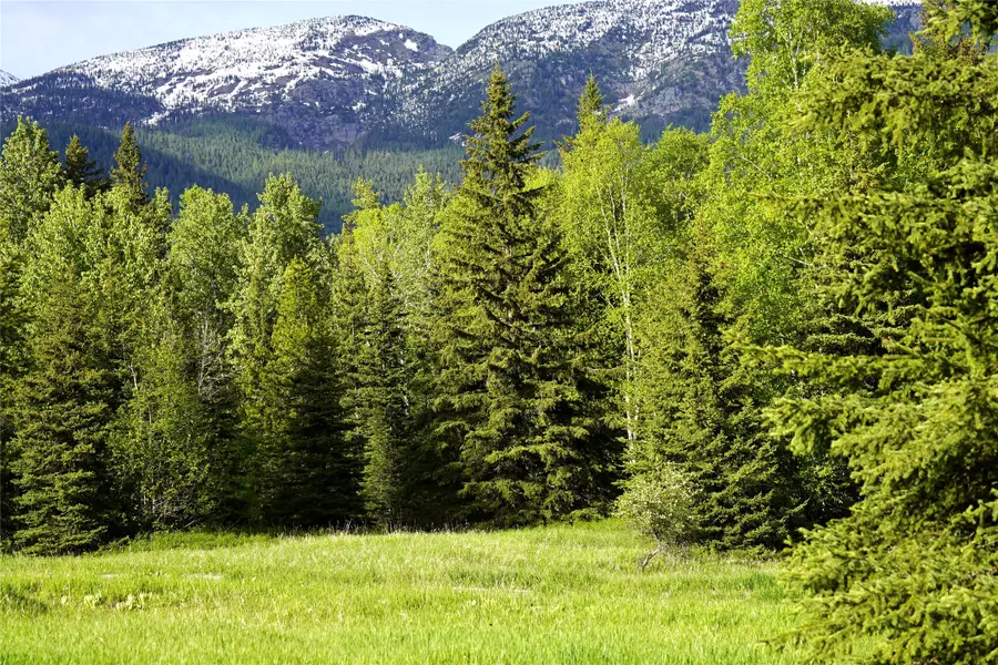 NHN Wolf Creek Ranch Road, Bigfork, MT 59911 - Image #3