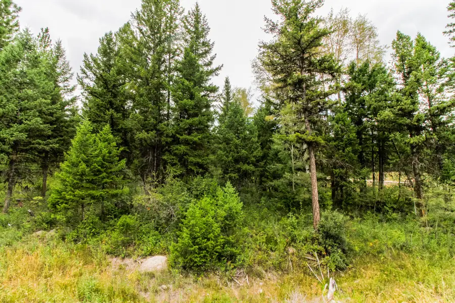 422 and 468 Haskill Ranch Road, Kila, MT 59920 - Image #3