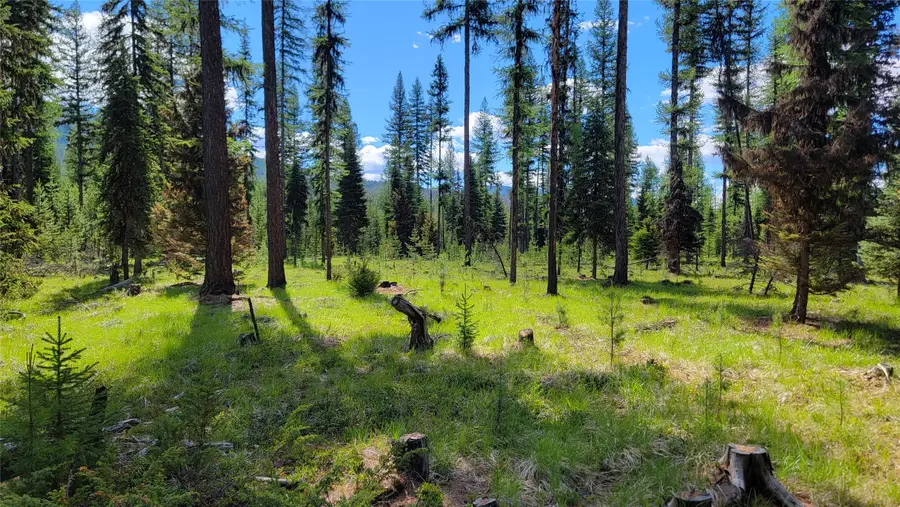 141 Berts Way, Yaak, MT 59935 - Image #2