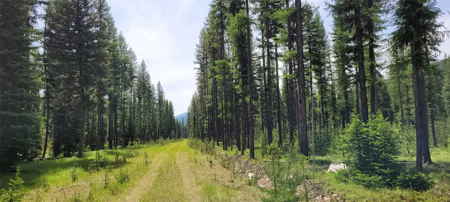 H.E.S. 839, Yaak, MT 59935 - Image #2