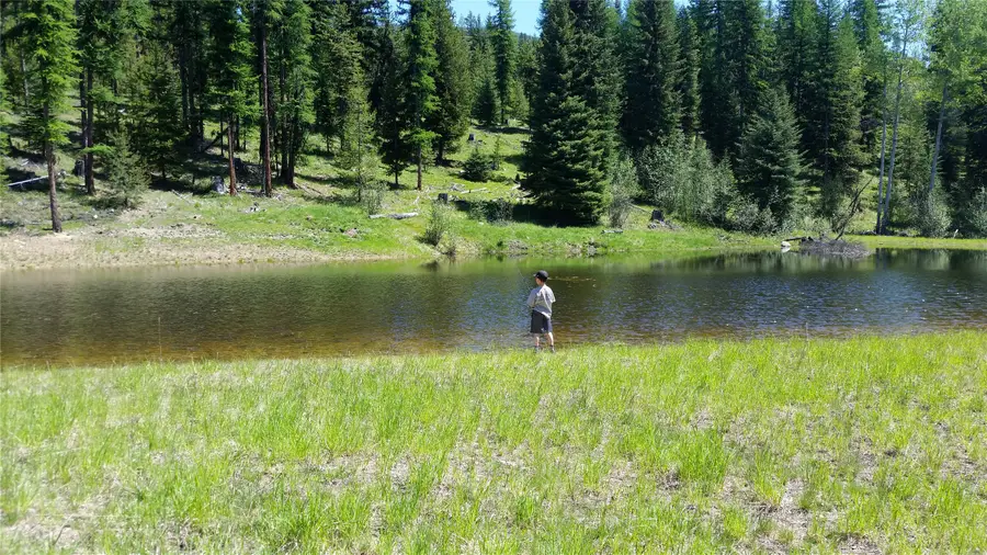 H.E.S. 839, Yaak, MT 59935 - Image #3