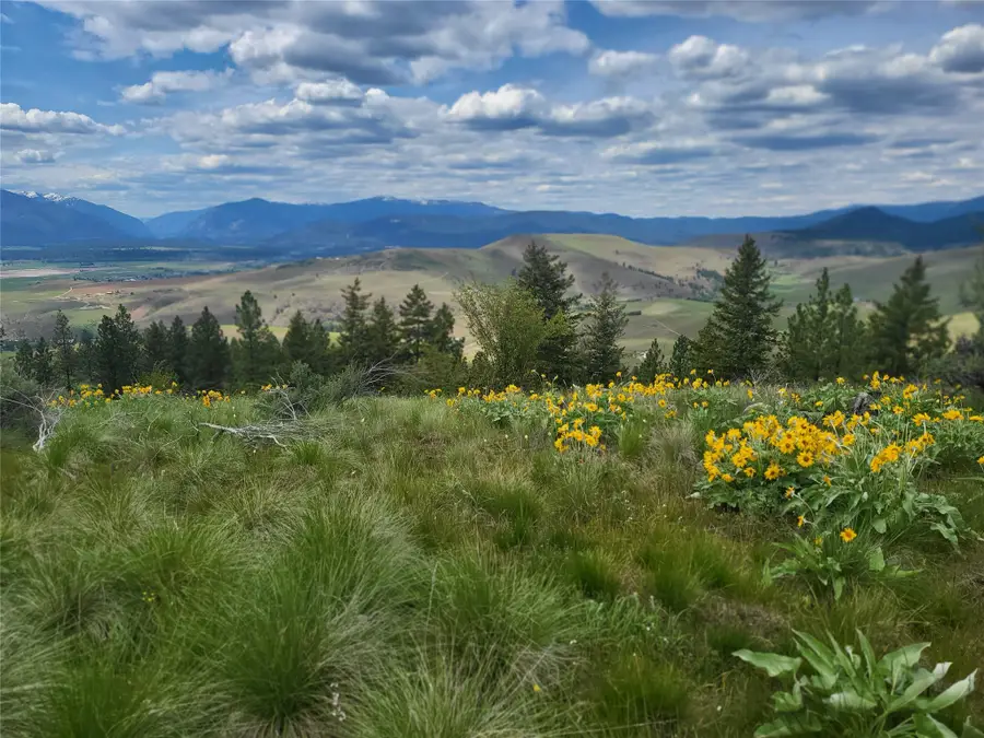 Lot 5 Yosyrian Lane, Plains, MT 59859 - Image #3