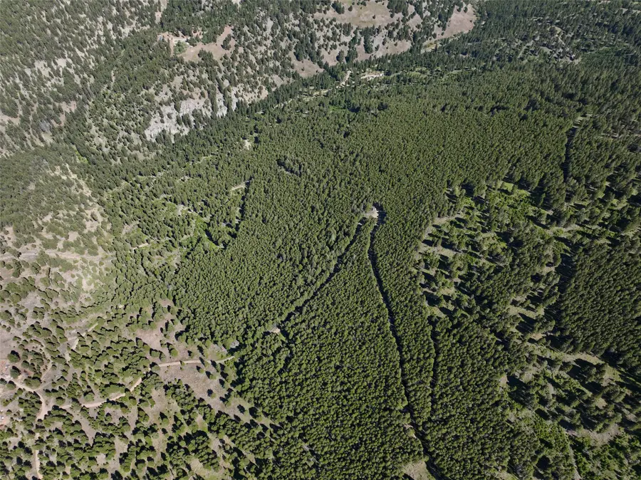 TBD A&B Chimney Lakes Road, Helmville, MT 59843 - Image #3