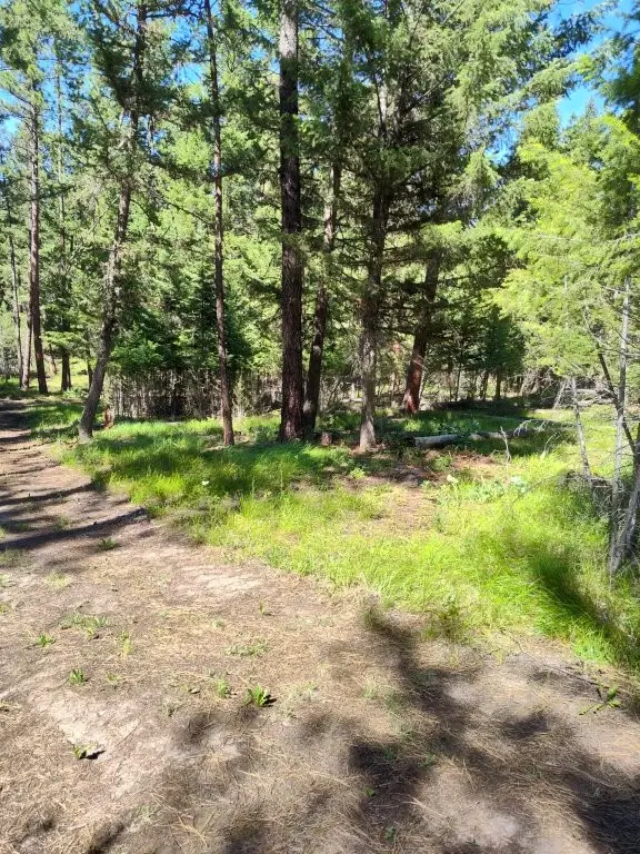 1825 Copper Cliff Drive, Potomac, MT 59823 - Image #1