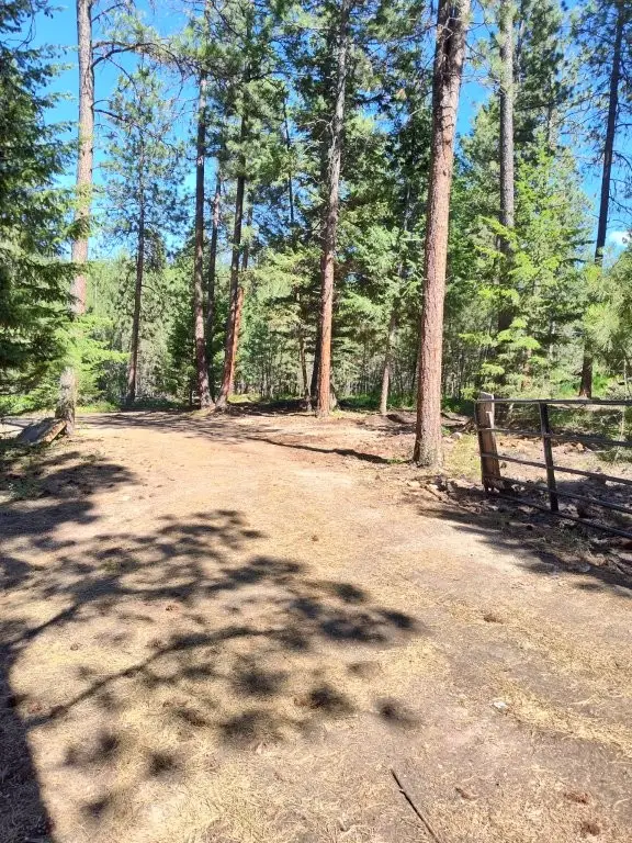 1825 Copper Cliff Drive, Potomac, MT 59823 - Image #3