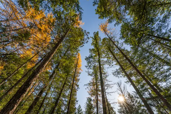 150 & 156 Peters Creek Way, Kalispell, MT 59901