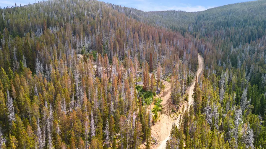 NHN Peerless Jennie Crossroad, Helena, MT 59601 - Image #2