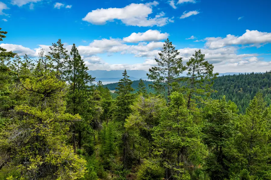 Nhn (Tract 9) Boon Road, Somers, MT 59932 - #3