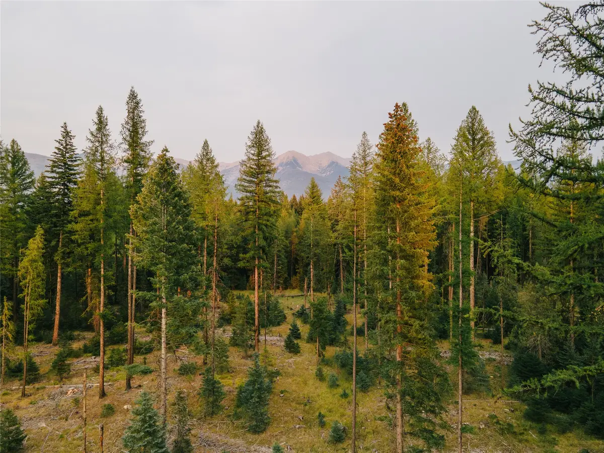 NHN Styler Drive, Condon, MT 59826 - Image #1