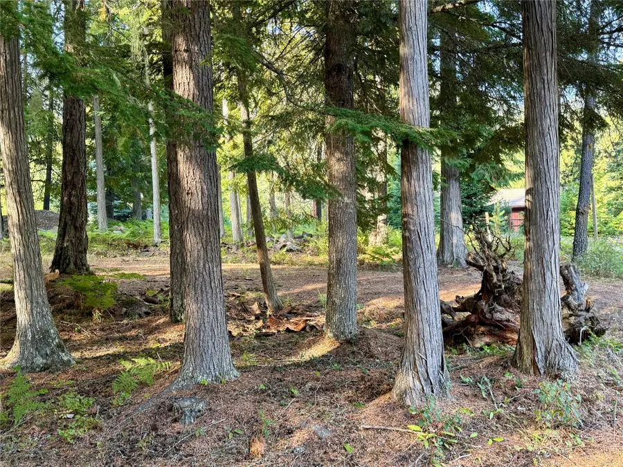 749 Halo Drive #LOT 19, Troy, MT 59935 - Image #3