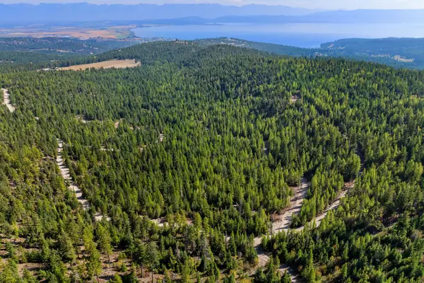 Nhn (Tract 10) Boon Road, Somers, MT 59932