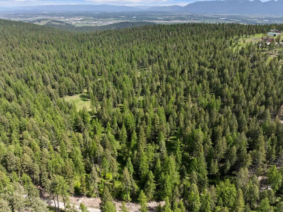 433, 437 & 439 Buffalo Trail, Somers, MT 59932 - #1