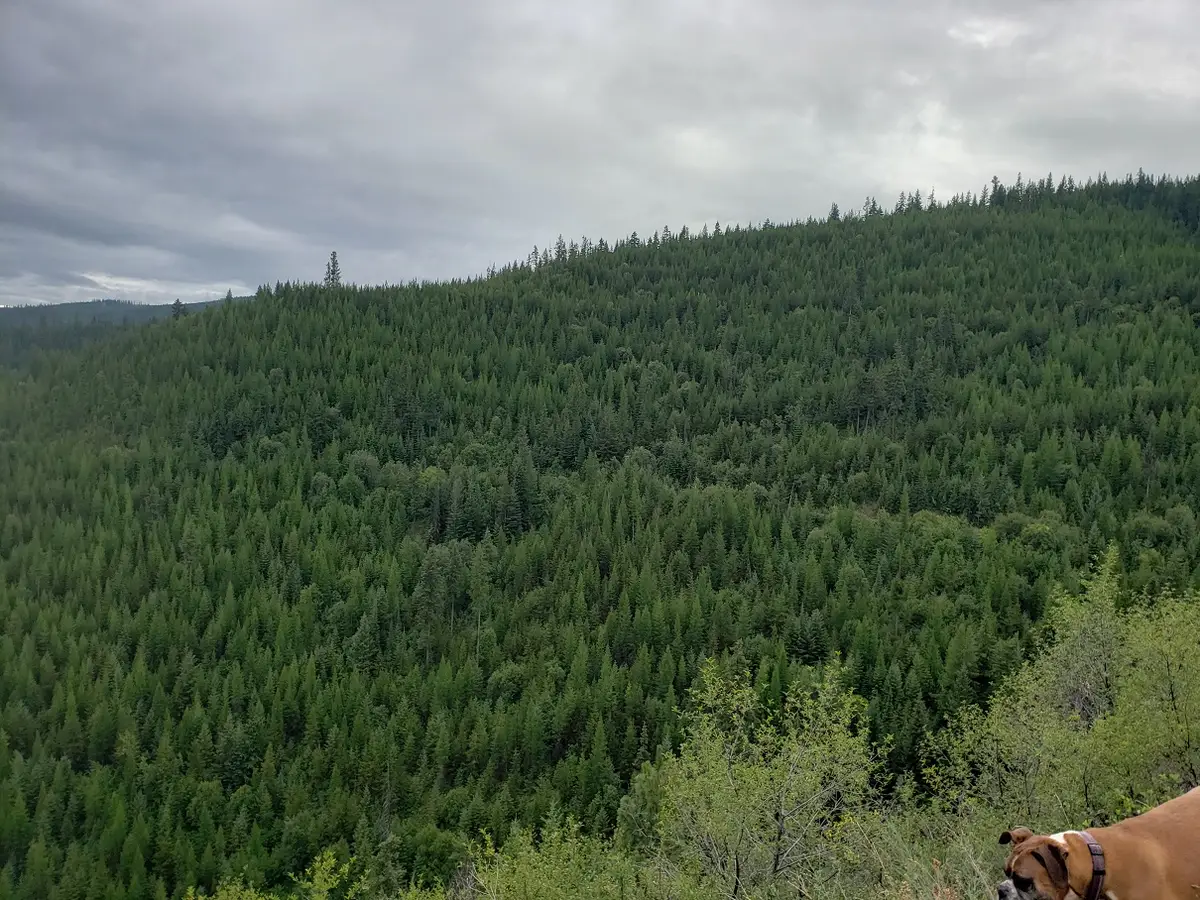 Lot 16 Nine Mile Road, Huson, MT 59846 - Image #1