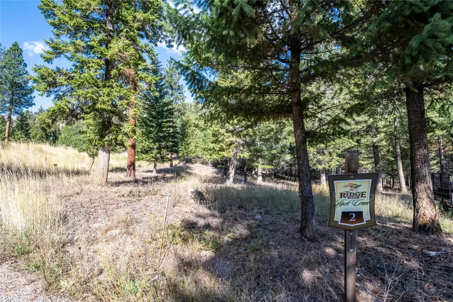 Lot 2 Caddisfly Court, Clinton, MT 59825 - Image #2