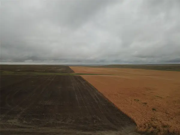 NHN Coalmine Road, Conrad, MT 59425