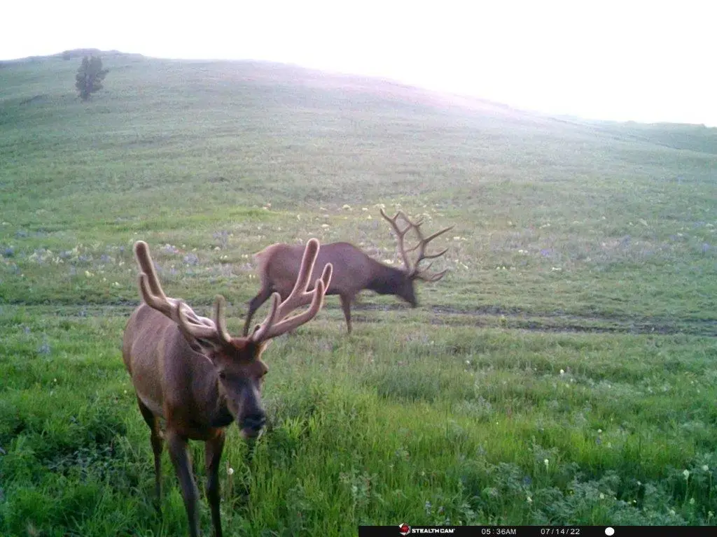 TBD Indian Creek Road, Townsend, MT 59644 - Image #1